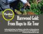 Gathering The Hops At Harewood House